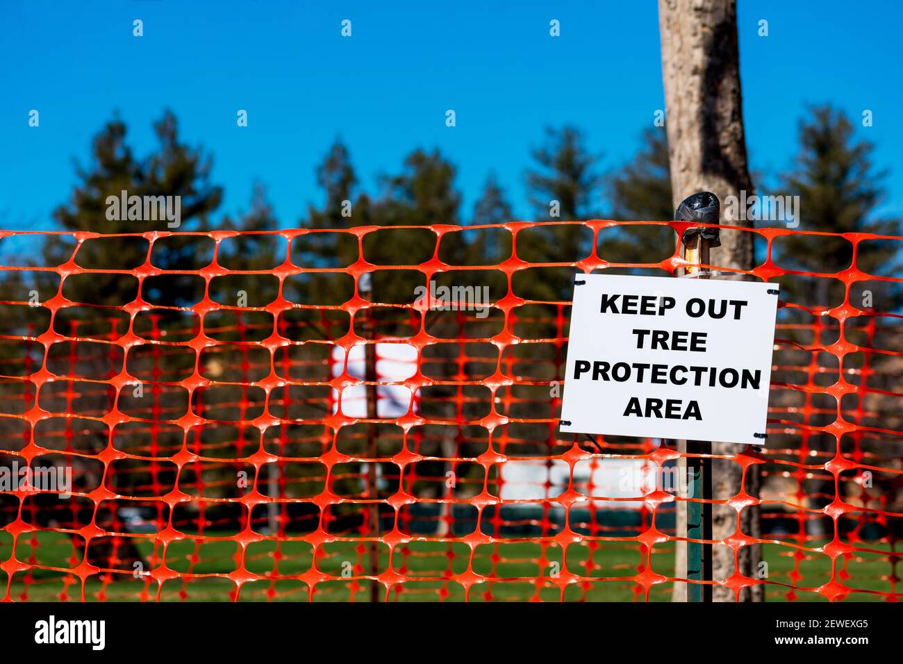 Tenere fuori, cartello area di protezione albero su protezione albero arancione rete in plastica recinzione. Foto Stock