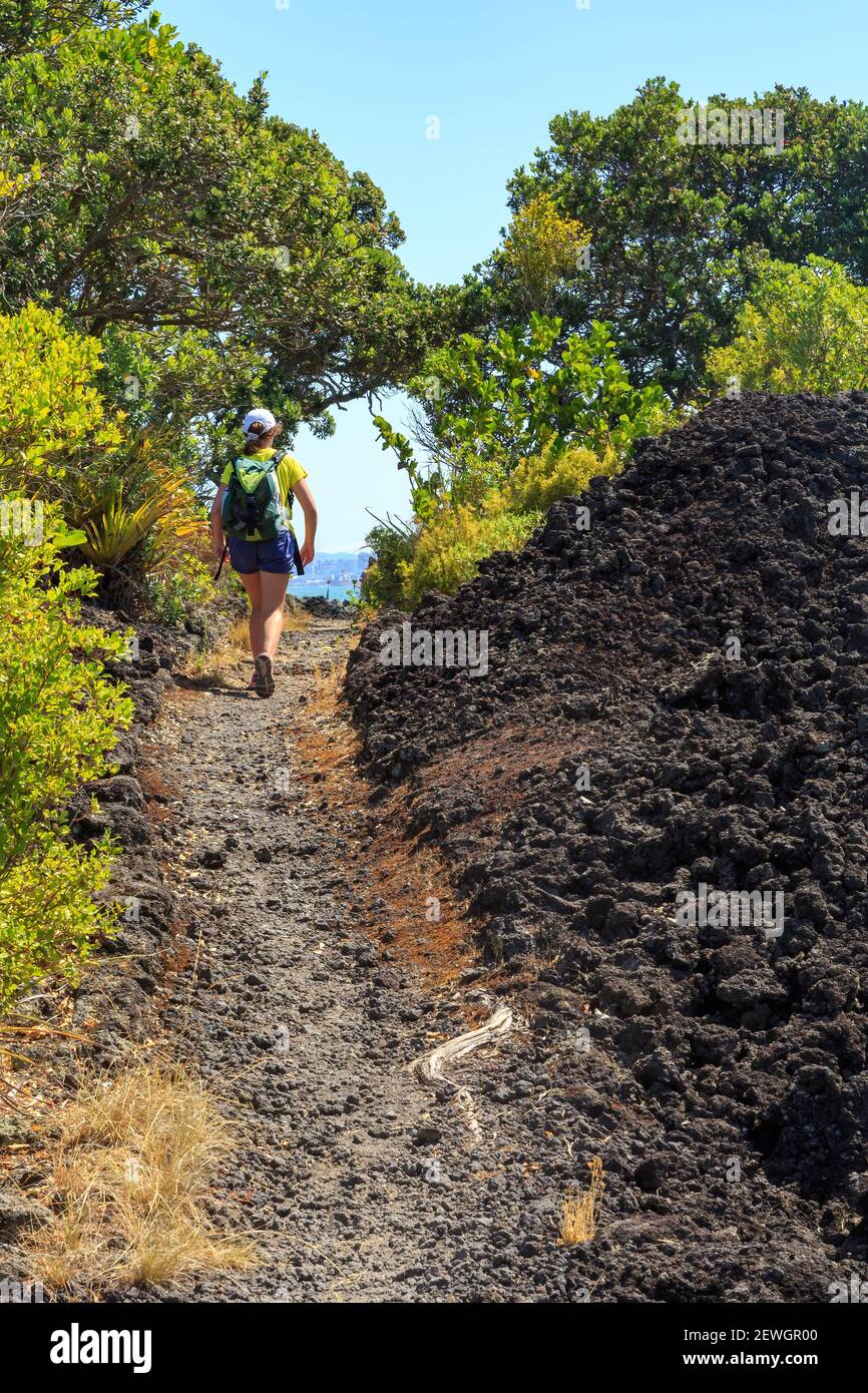 Un percorso a piedi attraverso l'aspro paesaggio vulcanico dell'Isola di Rangitoto, Nuova Zelanda Foto Stock