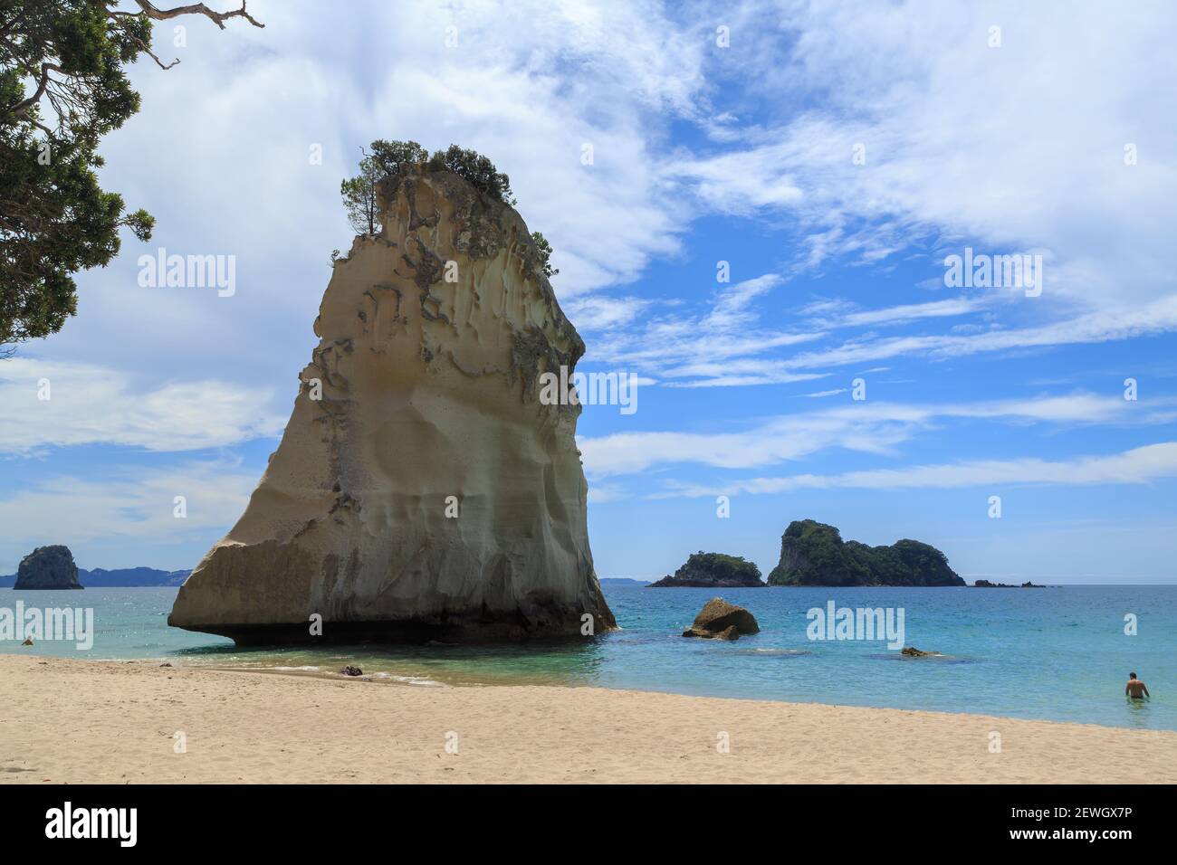 Te Hoho Rock, una formazione drammatica che si aggira dal mare a Cathedral Cove, Nuova Zelanda Foto Stock