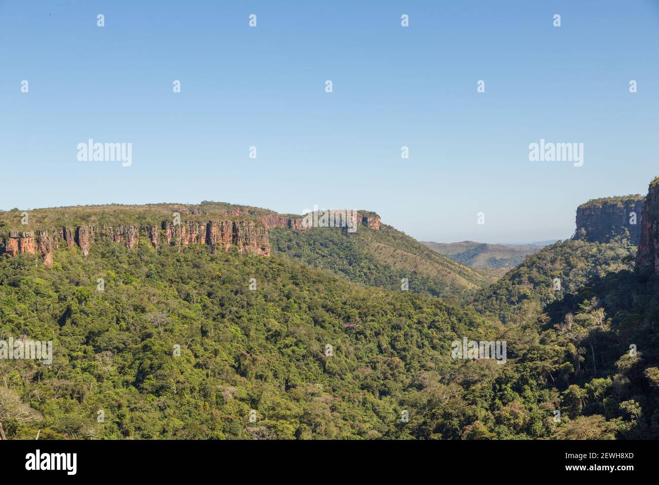 Guarda sull'altopiano del parco nazionale Chapada dos Guimaraes a Mato Grosso, Brasile Foto Stock