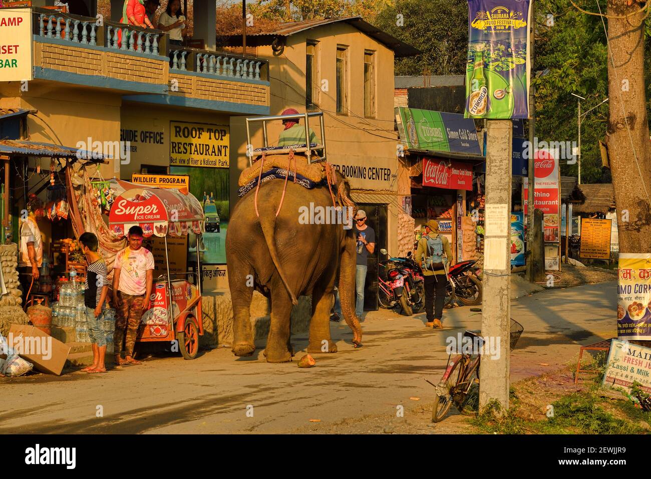 Elefante asiatico, Elefas maximus addomesticato con mahout, strada scena villaggio di Sauraha, al confine con il Parco Nazionale di Chitwan, Nepal Foto Stock