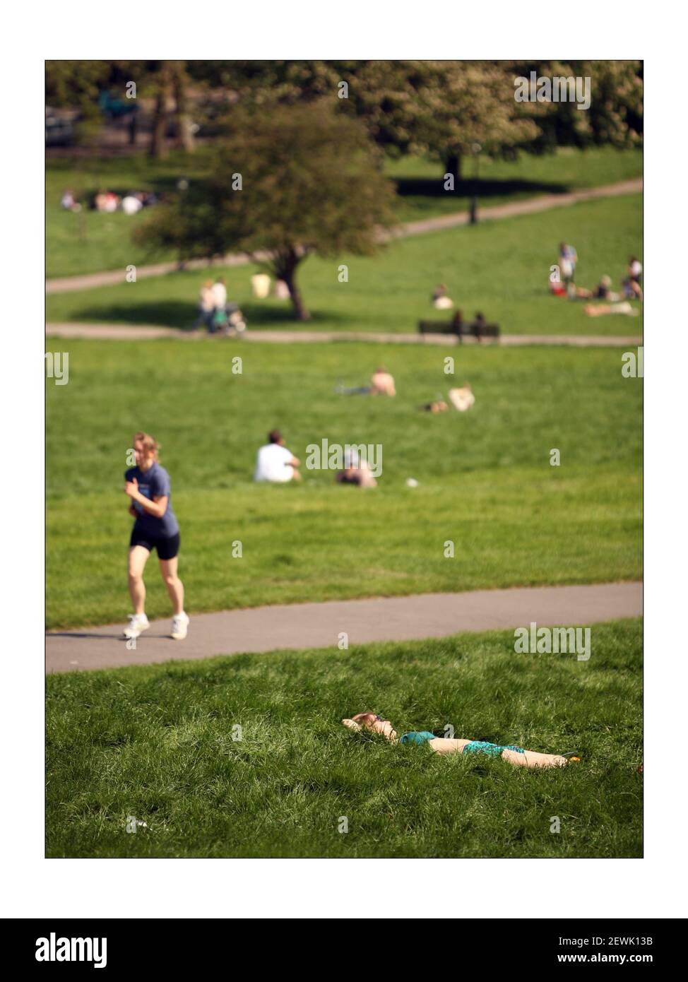 Godendo il sole d'estate sulla fotografia di Londra Primrose Hillphoto di David Sandison l'indipendente Foto Stock