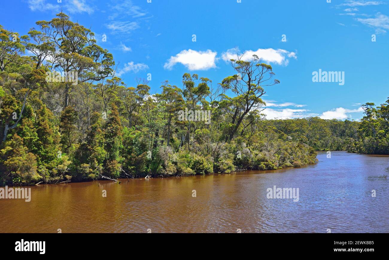 Arthur River, Tarkine, Tasmania nord-occidentale Foto Stock