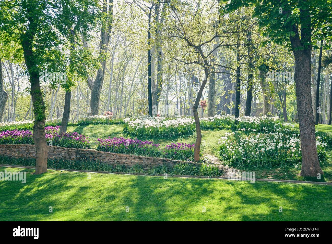 Gulhane Park è un parco storico urbano di Istanbul, Turchia. Foto Stock