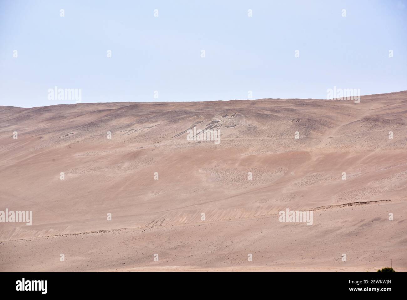 Geoglifi nella Valle di Lluta, geoglifi positivi. Arica, Norte Grande de Chile, Regione di Arica y Parinacota. Foto Stock