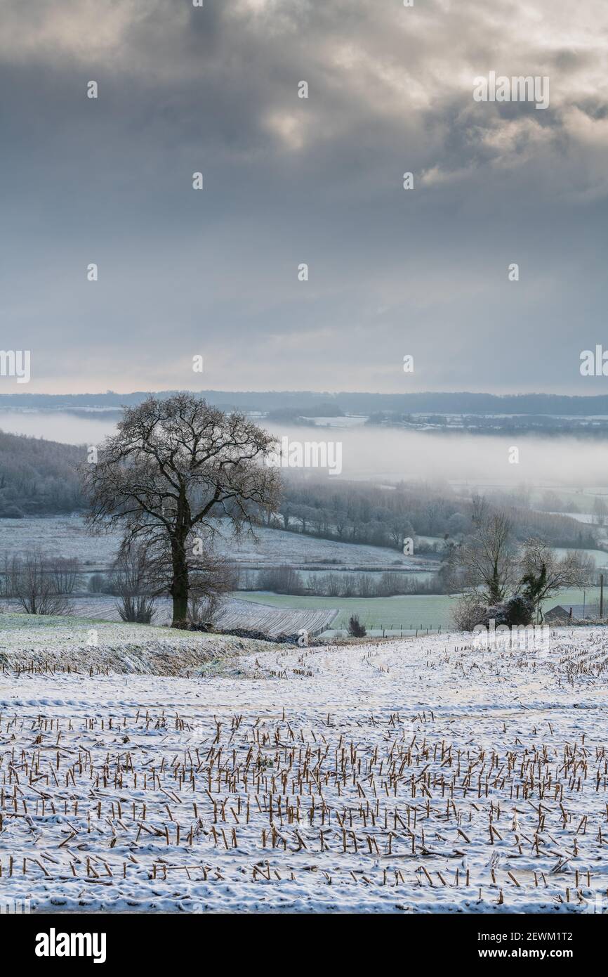 Campagne du Boulonnais en hiver, Francia, Hauts de France Foto Stock