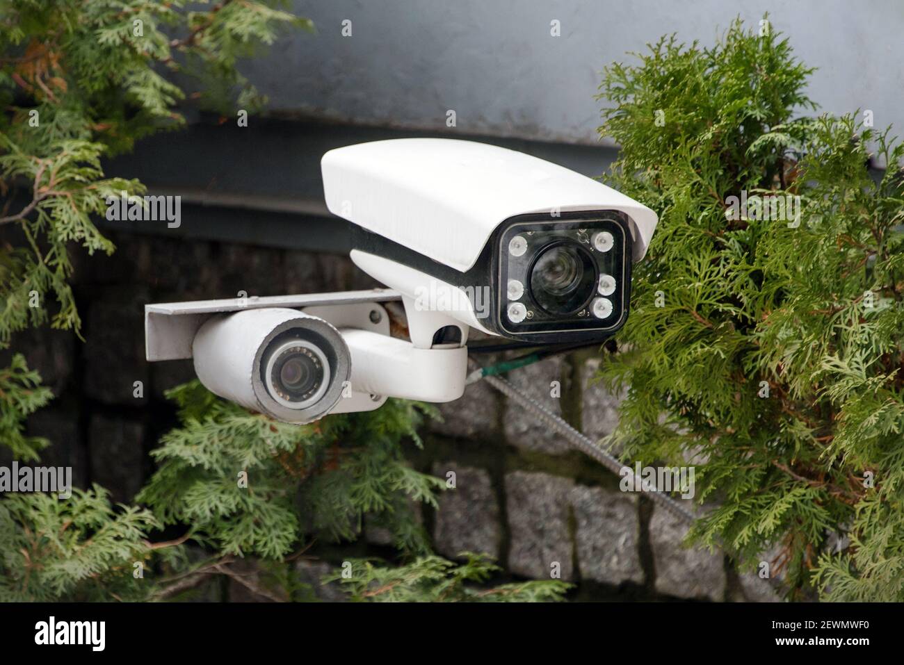 Videosorveglianza nascosta. Telecamera di sicurezza CCTV o radar per il  monitoraggio della velocità delle vetture montate tra gli alberi.  Apparecchiature video per il sistema di sicurezza a Foto stock - Alamy