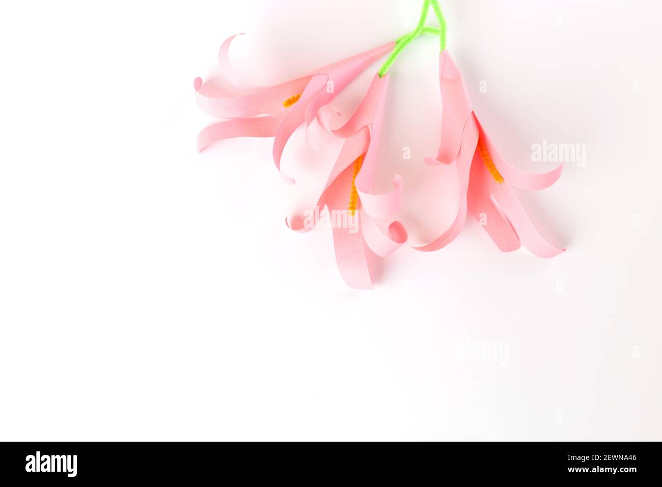 stampa a mano ninfee di carta, fai da te, fiori primaverili artigianali per bambini, tutorial, istruzioni passo passo, attività di pasqua vacanza Foto Stock