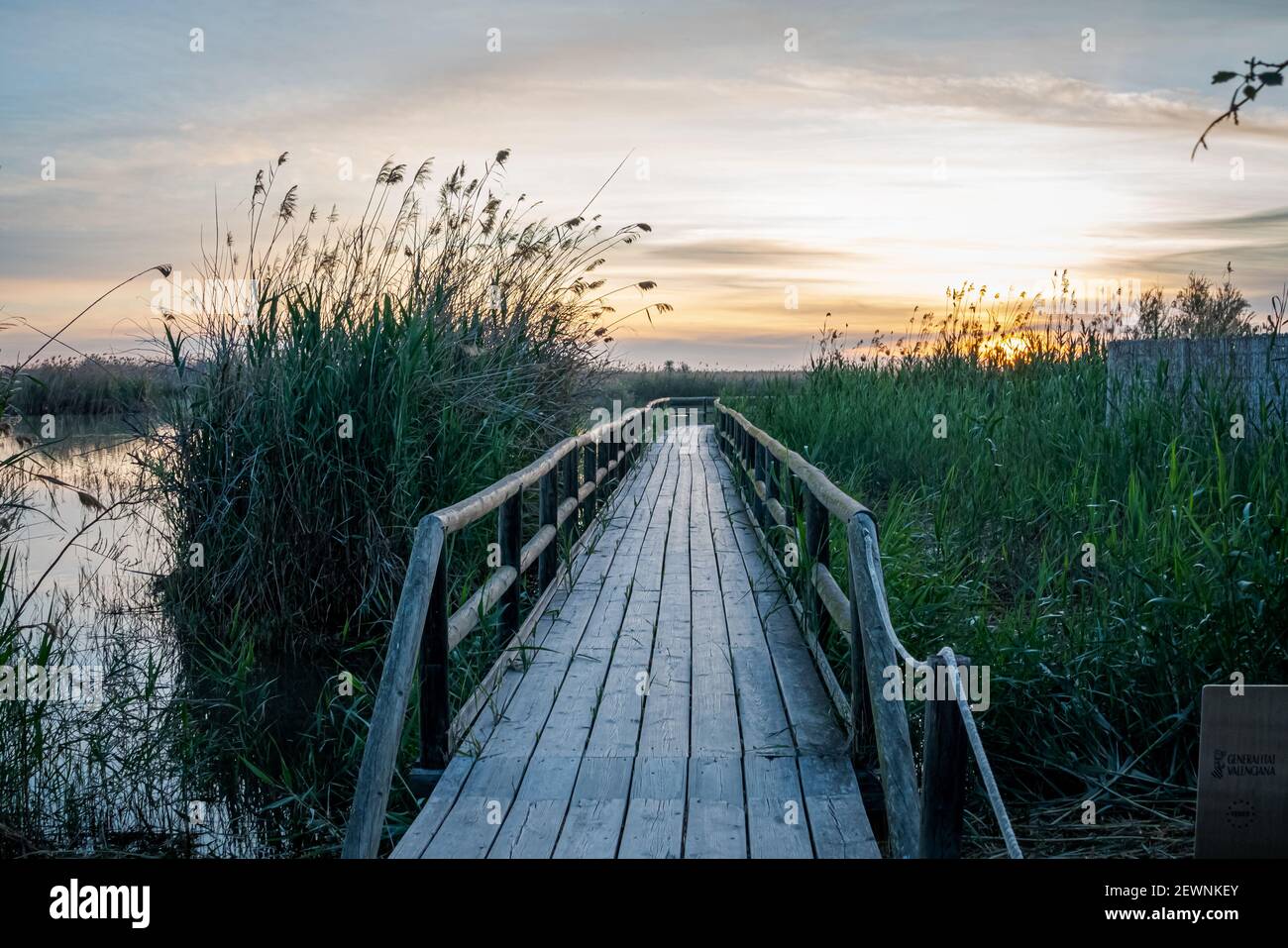 Spagna. Alba nel parco naturale El Hondo de Elche. Alicante Foto Stock