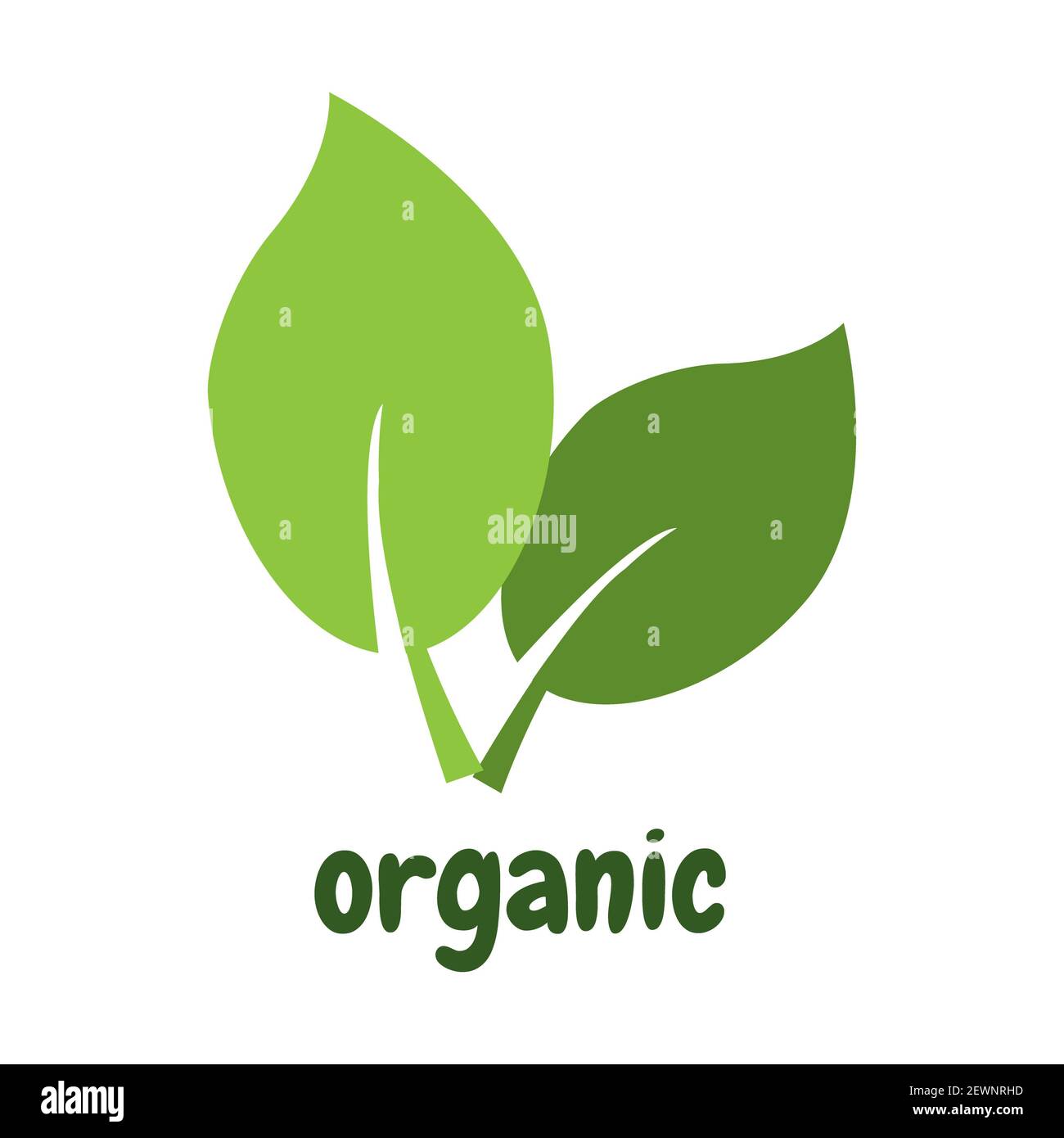 Logo foglia etichetta biologica icona eco vettore sfondo isolato. Foto Stock
