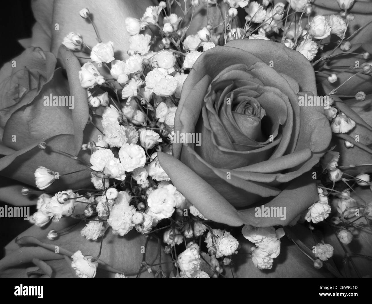 Una scala di grigi di un bouquet con rose e piccoli fiori selvatici Foto Stock