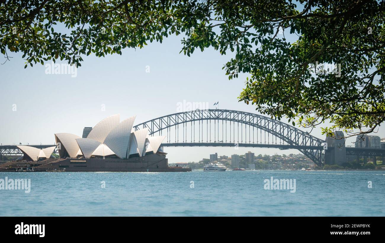 Panorama di Sydney con l'Opera House e l'Harbour Bridge incorniciati da rami di alberi, Tiro dai Royal Botanic Gardens, Sydney, New South Wales, Australia Foto Stock