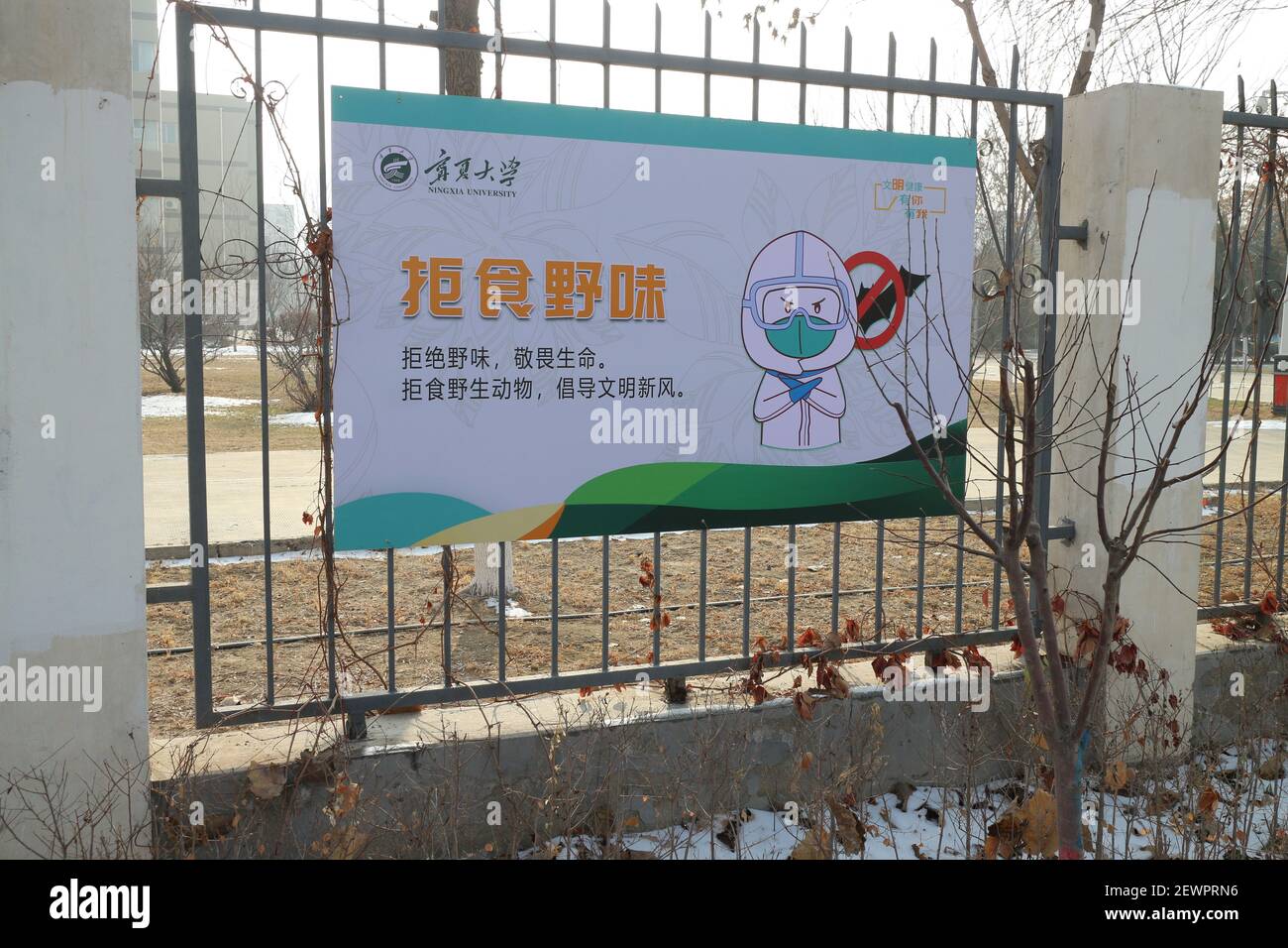 Un poster visto su una recinzione dell'università di Ningxia con lo slogan : ? ? ???? ?? : 'non mangiare carne di animali selvatici, non giocare con la vostra vita'. Foto Stock