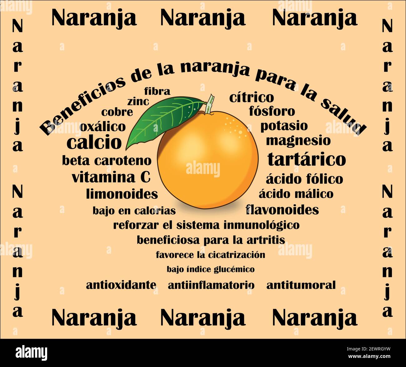 Beneficios de la naranja para la salud. Disegno vettoriale. Benefici di arancione per la salute Illustrazione Vettoriale