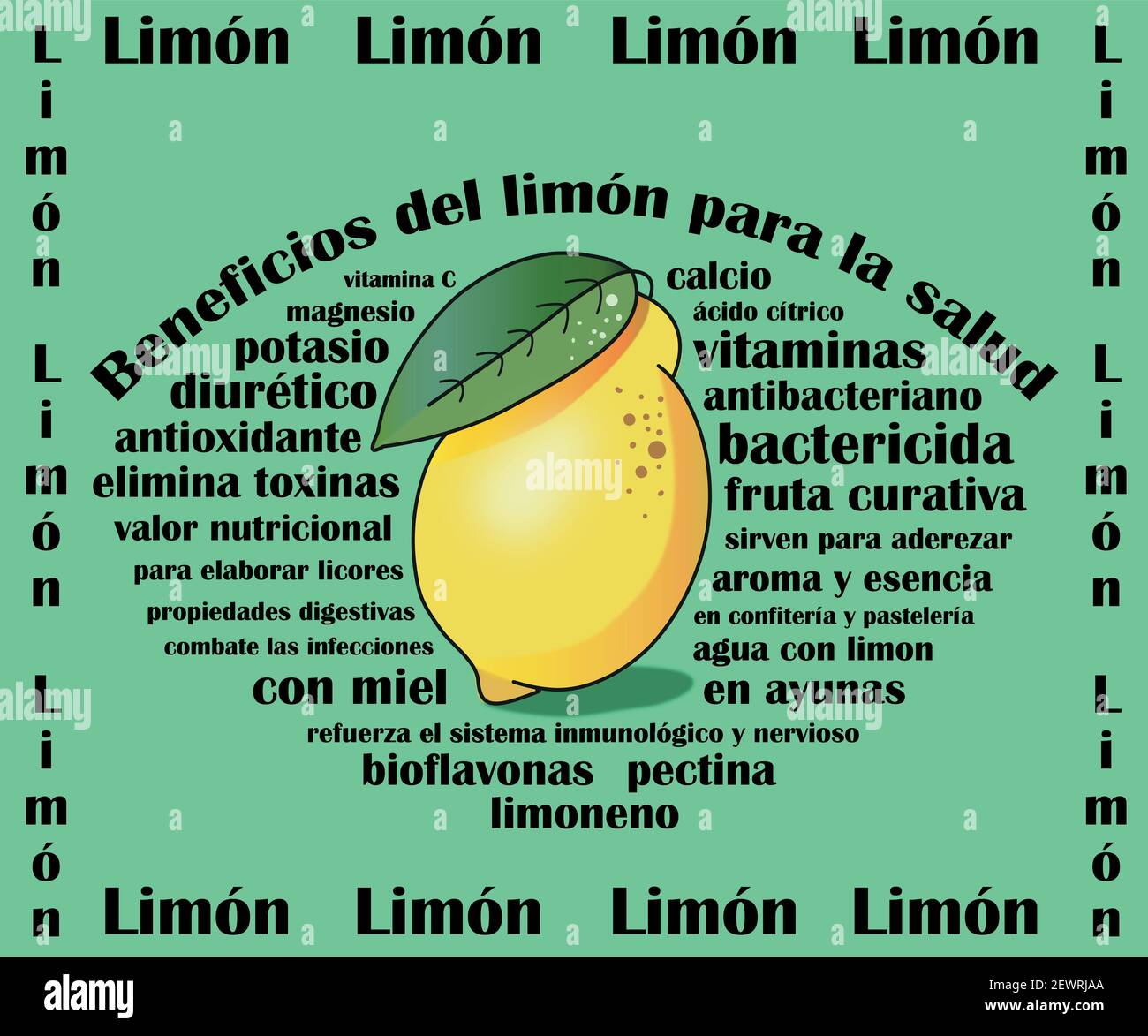 Beneficios del limón para la salud. Disegno vettoriale. Benefici del limone per la salute. Illustrazione Vettoriale