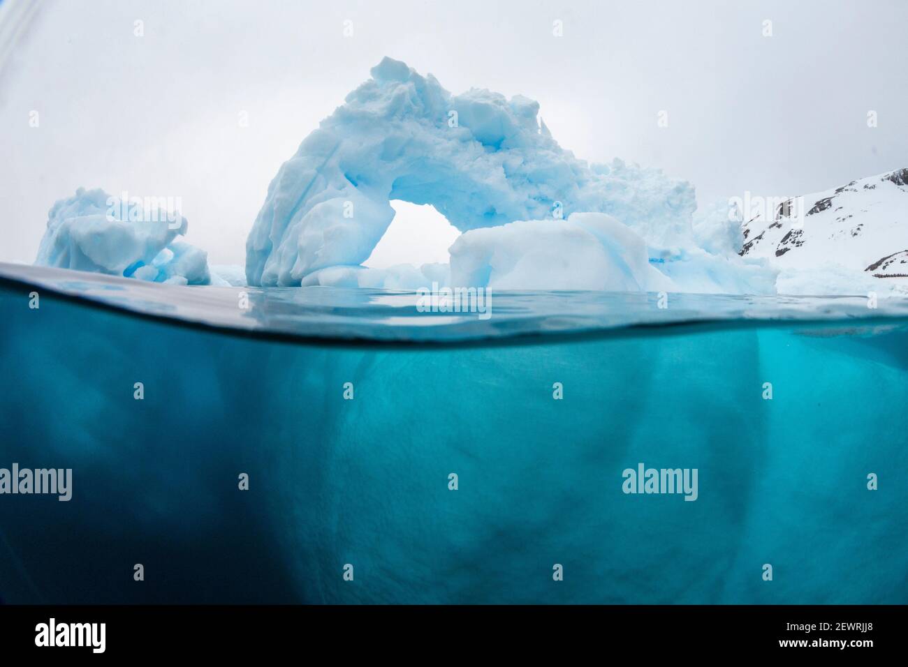 Vista sopra e sotto di un arco formato in un iceberg a Cuverville Island, canale di Ererra, Antartide, regioni polari Foto Stock