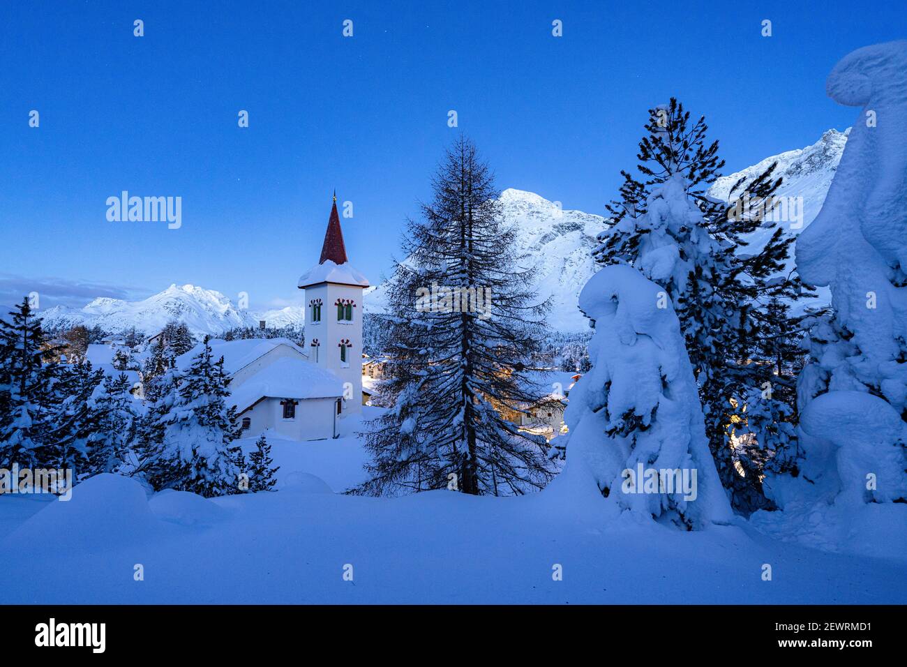 Chiesa Bianca e gli alberi ricoperti di neve al crepuscolo, Maloja, Bregaglia, Engadina, Cantone Graubunden, Svizzera, Europa Foto Stock