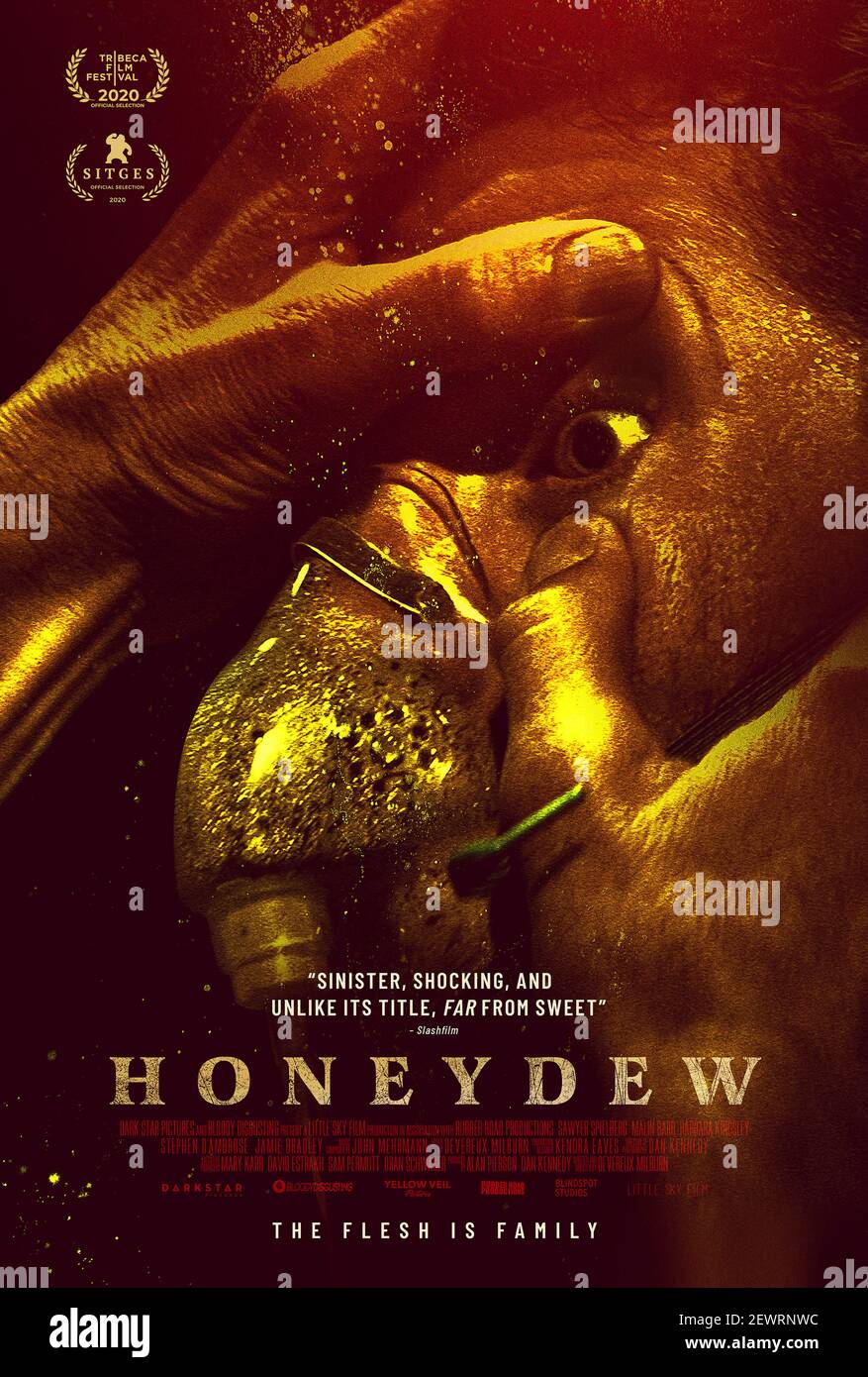 Honeydew (2020) diretto da Devereux Milburn e con Sawyer Spielberg, Malin Barr e Barbara Kingsley. Strane voglie e allucinazioni cadono una giovane coppia dopo aver cercato rifugio nella casa di un agricoltore che invecchia e del suo figlio particolare. Foto Stock