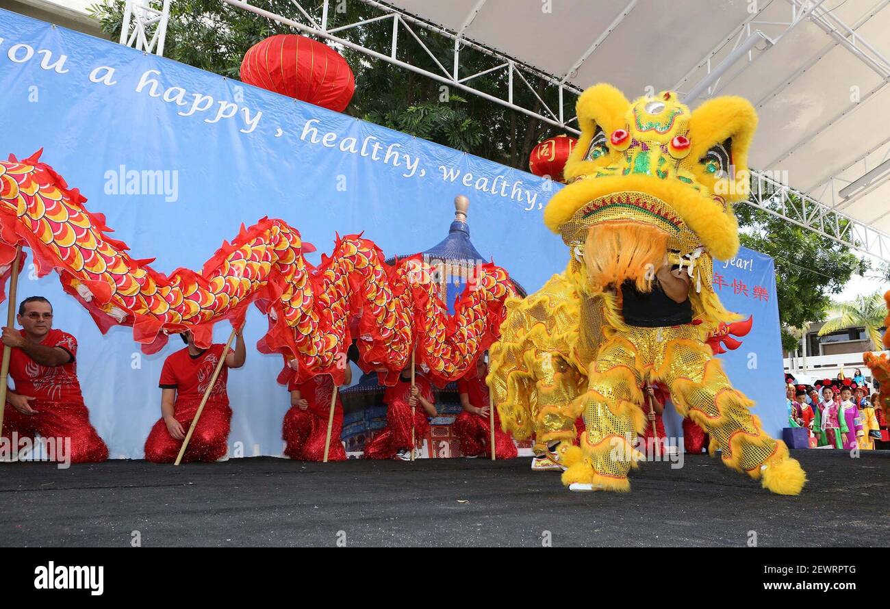 The Dance of the Dragon and the Lion by Wing Lung Tai Chi Kung fu School durante il festival cinese di Capodanno al campus Kendall del Miami Dade College il 14 febbraio 2016. (Foto di Hector Gabino/El Nuevo Herald/TNS/Sipa USA) Foto Stock