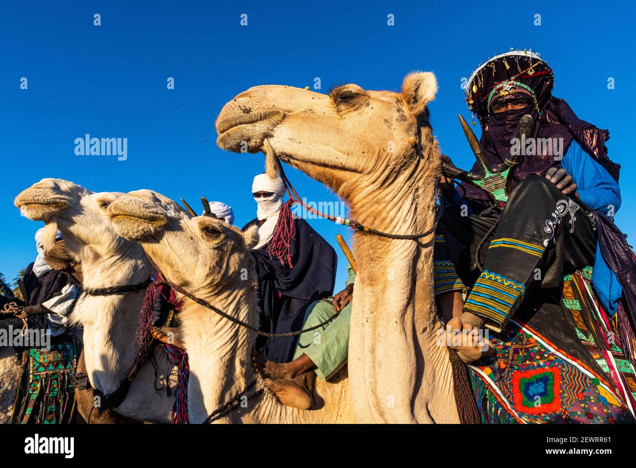 Tradizionali Tuareg vestiti sui loro cammelli, Oasi di Timia, Air Mountains, Niger, Africa Foto Stock