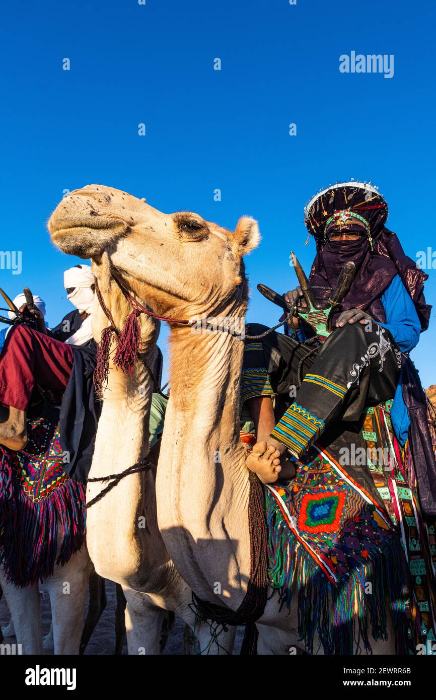 Tradizionali Tuareg vestiti sui loro cammelli, Oasi di Timia, Air Mountains, Niger, Africa Foto Stock