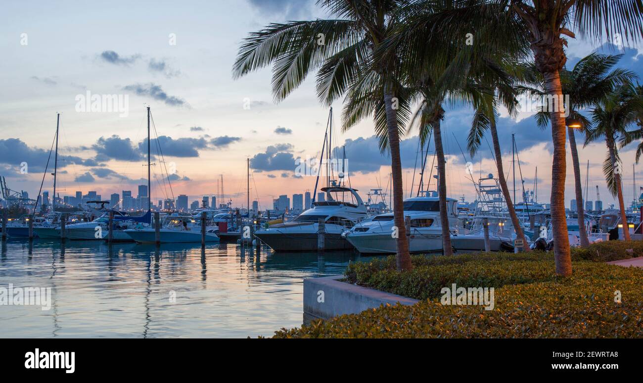 Vista panoramica sul porto turistico da South Pointe Park, crepuscolo, Downtown Miami in background, South Beach, Miami Beach, Florida, Stati Uniti d'America Foto Stock