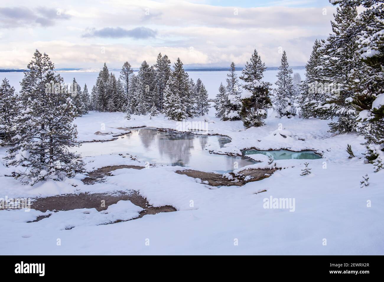 Paesaggio innevato di elementi termali con riflessi, Parco Nazionale di Yellowstone, Sito Patrimonio dell'Umanità dell'UNESCO, Wyoming, Stati Uniti d'America, Nord America Foto Stock