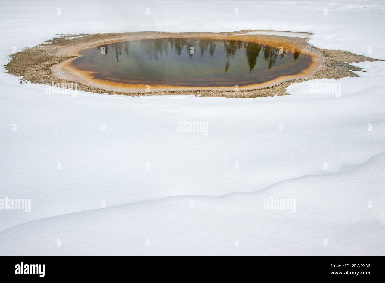 Alberi riflessi nella neve, Parco Nazionale di Yellowstone, Sito Patrimonio dell'Umanità dell'UNESCO, Wyoming, Stati Uniti d'America Foto Stock