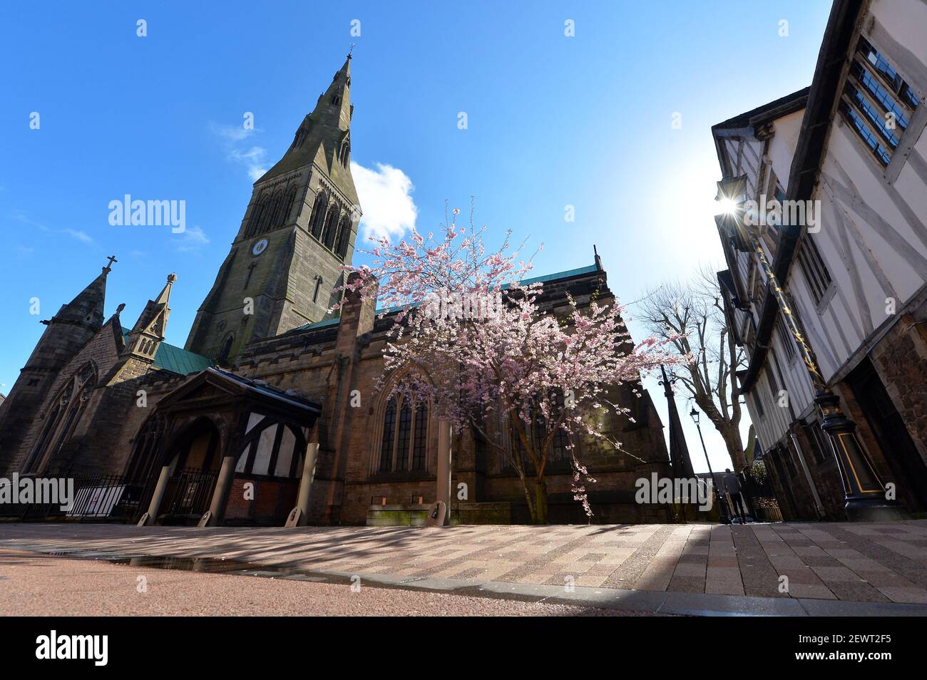 Fioritura primaverile intorno alla Cattedrale di Leicester in un giorno di cielo blu Foto Stock
