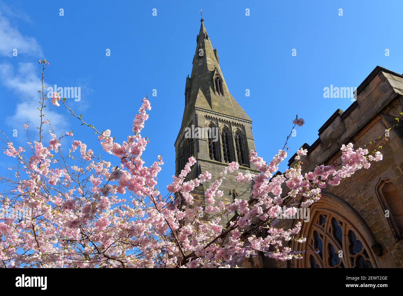 Fioritura primaverile intorno alla Cattedrale di Leicester in un giorno di cielo blu Foto Stock