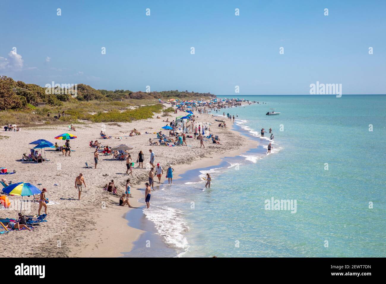Spiaggia al molo di pescatori di Venezia sul Golfo di Messico durante l'alta stagione turistica a Venezia Florida USA Foto Stock