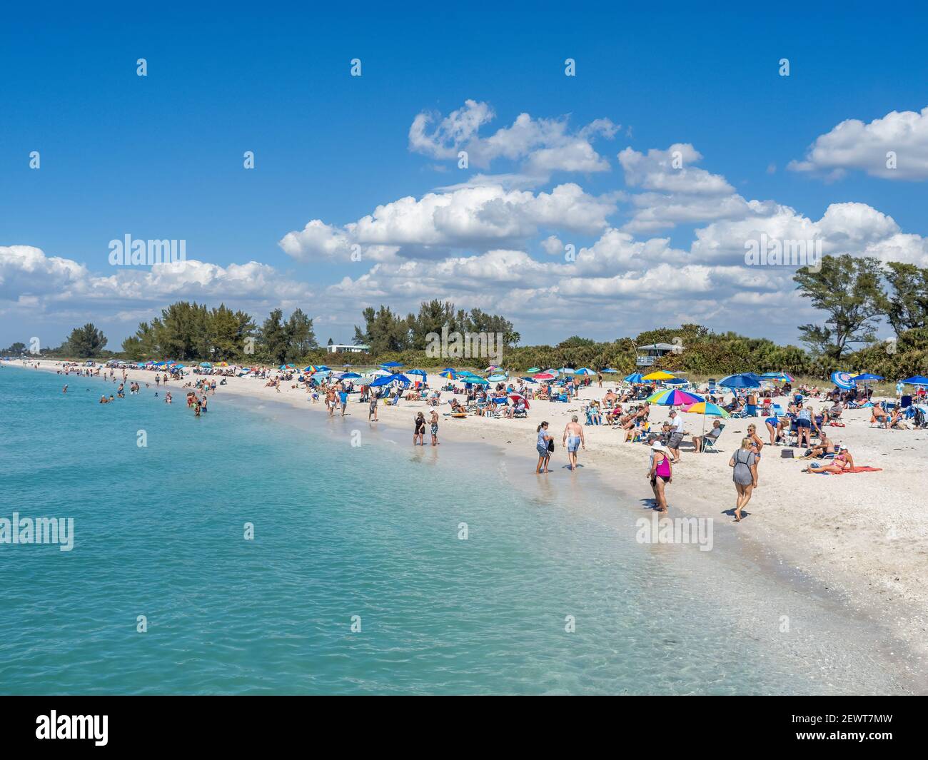 Spiaggia al molo di pescatori di Venezia sul Golfo di Messico durante l'alta stagione turistica a Venezia Florida USA Foto Stock