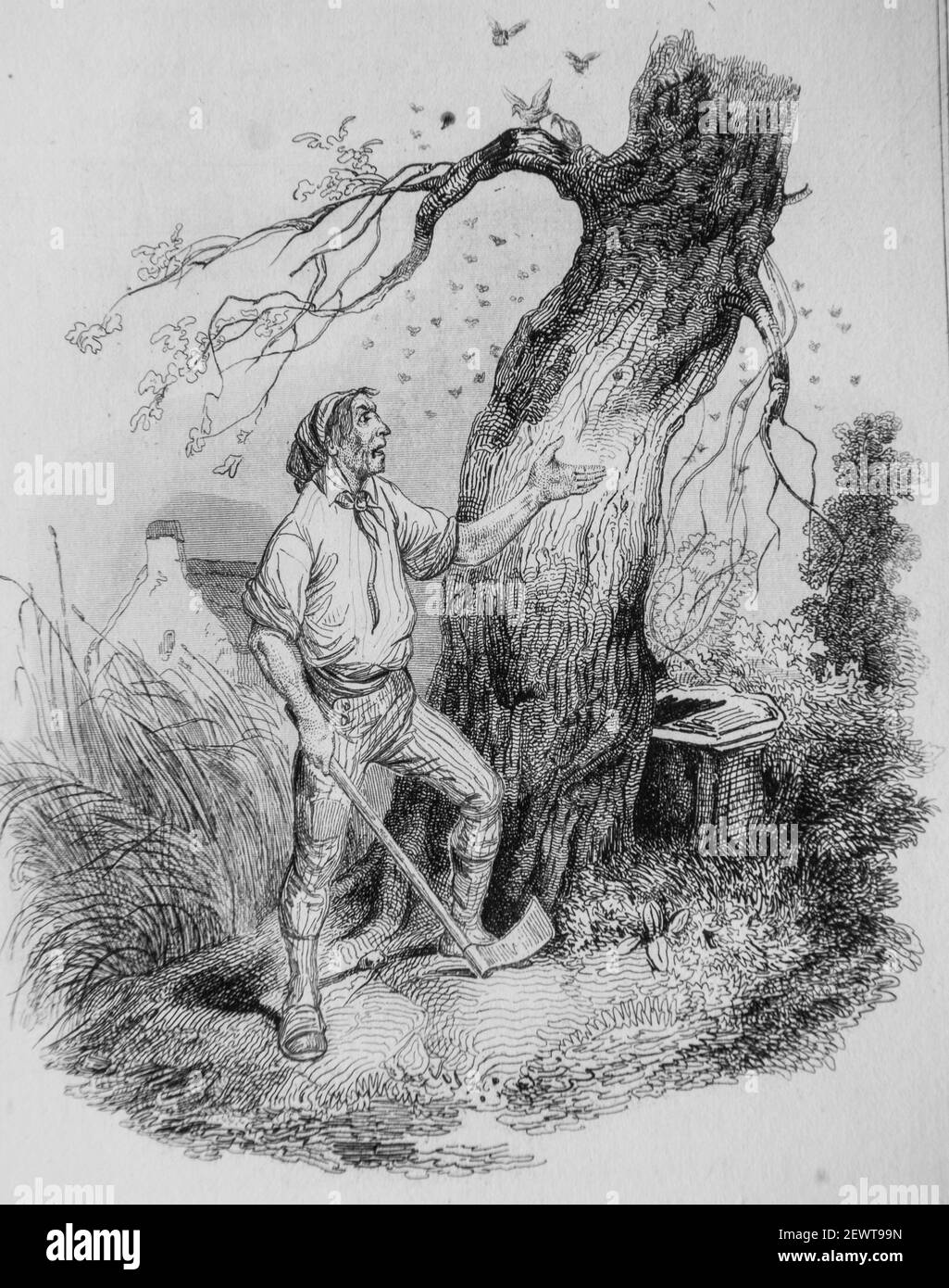 le vieux arbre et le jardinier, , le vieux arbre et le jardinier, , favles de florian illustres par victor adam ,editeur delloye,desme 1838 Foto Stock
