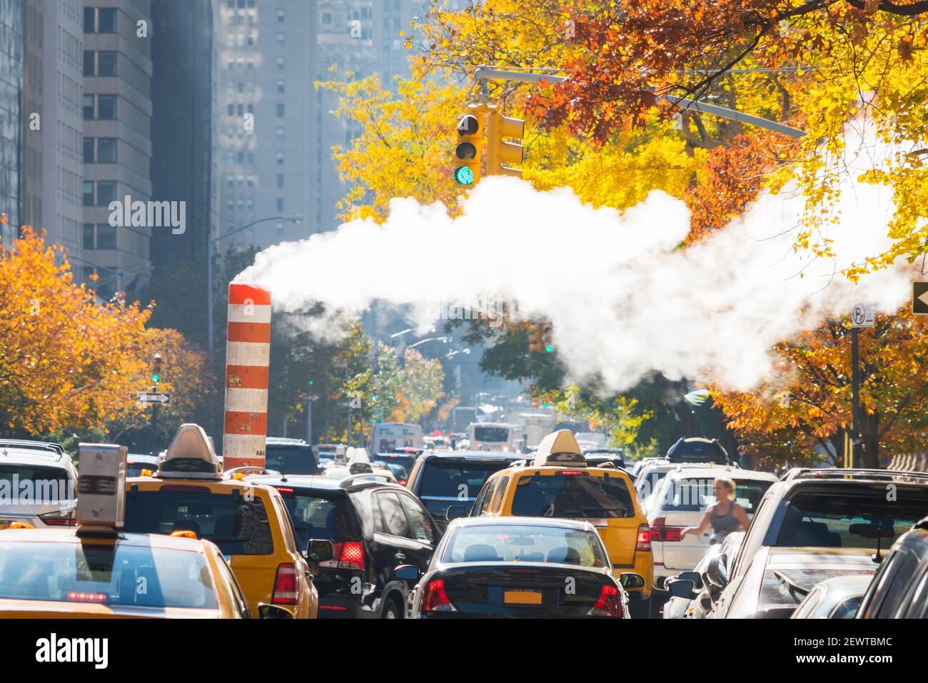 Uptown Manhattan Park Avenue il traffico passa attraverso sotto il fusto crescente tra le file di alberi di colore delle foglie autunnali a New York City NY USA. Foto Stock