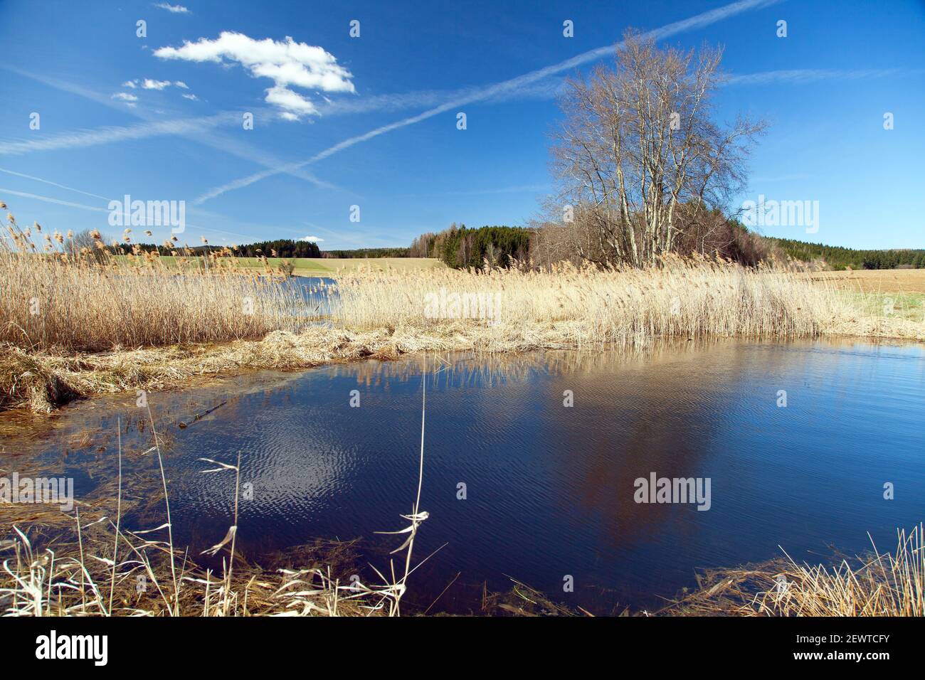 Vista autunnale del laghetto, Boemia e Moravia, Repubblica Ceca Foto Stock