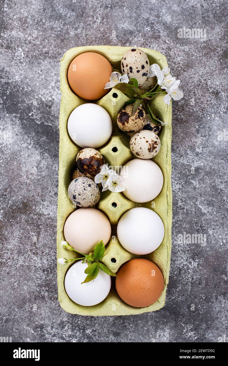 Concetto di Pasqua. Uova di pollo e quaglia. Foto Stock