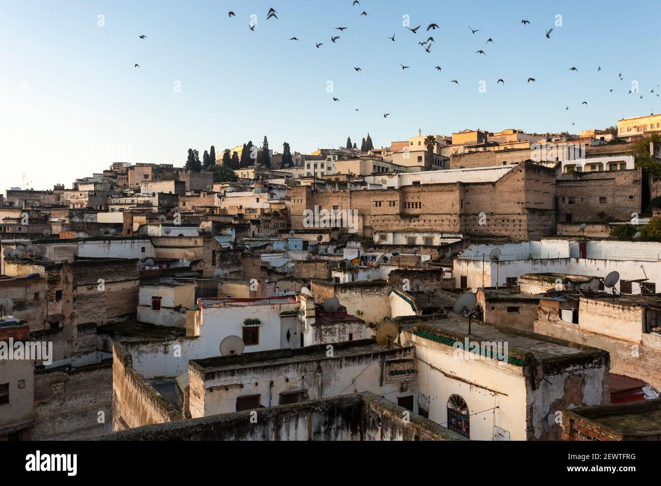 Uccelli che sorvolano i tetti della Medina Fes all'alba, Fes, Marocco Foto Stock