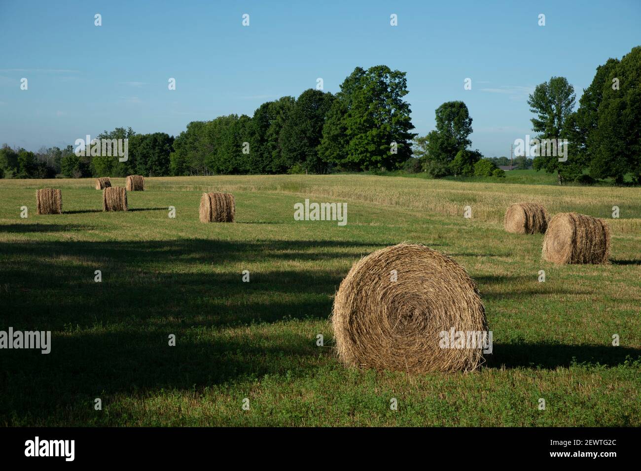 Terreno agricolo aperto con balle rotonde di fieno in Door County Wisconsin Foto Stock
