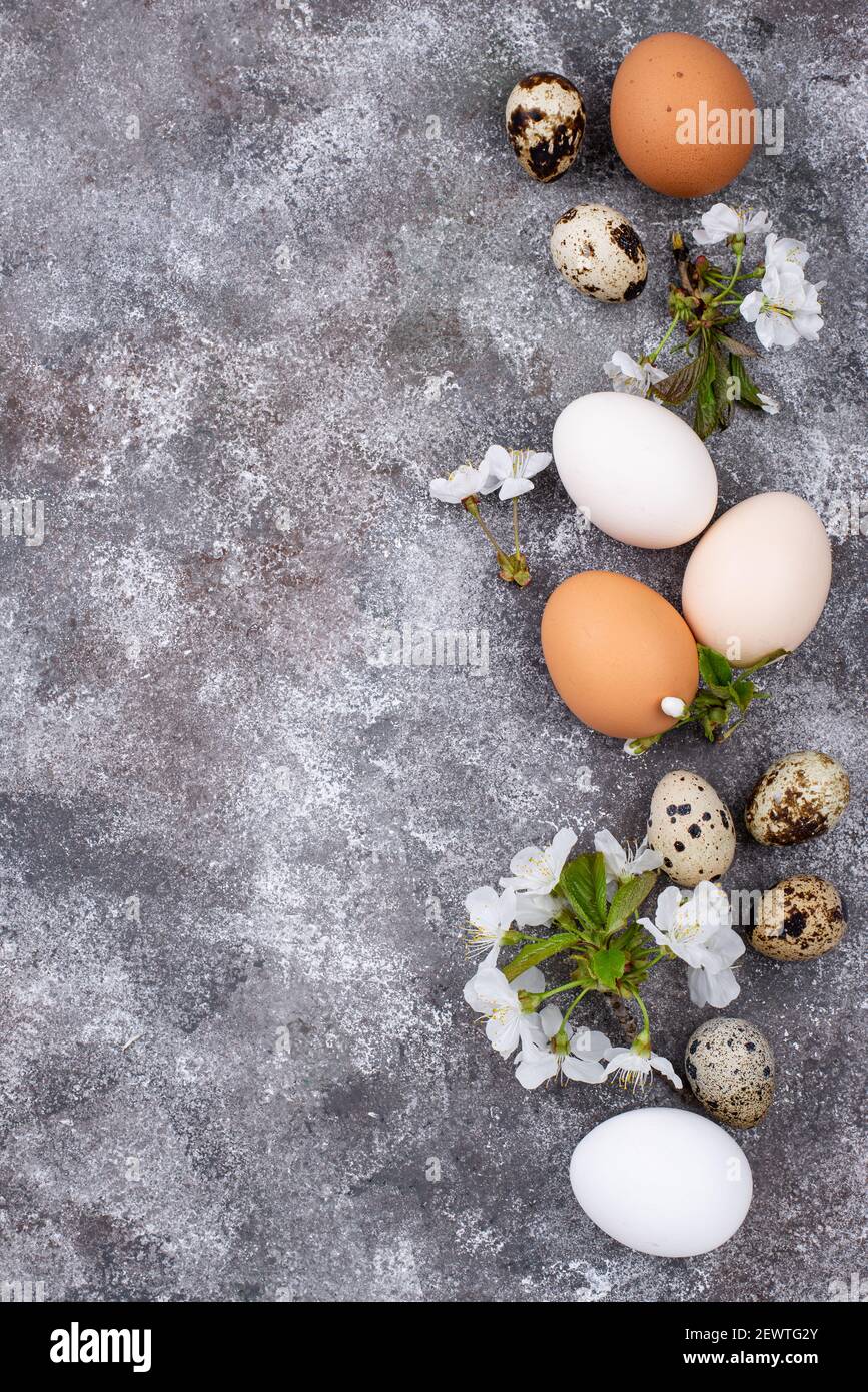 Concetto di Pasqua. Uova di pollo e quaglia. Foto Stock
