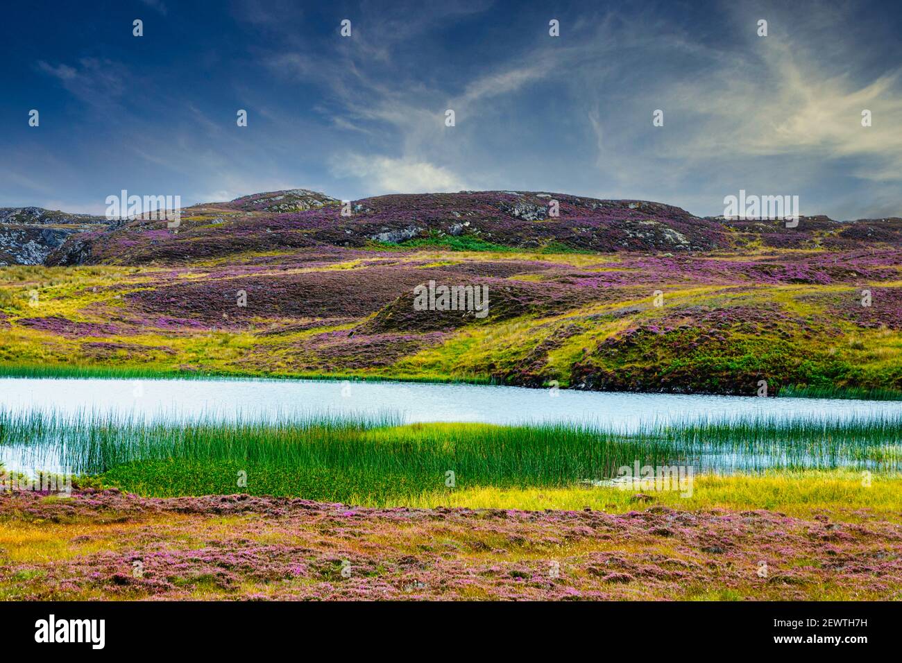 A836 Thurso a Bettyhill sulla panoramica costa settentrionale 500 percorso di oltre 500 km di splendido paesaggio costiero, Highland nord-occidentale, Scozia Foto Stock