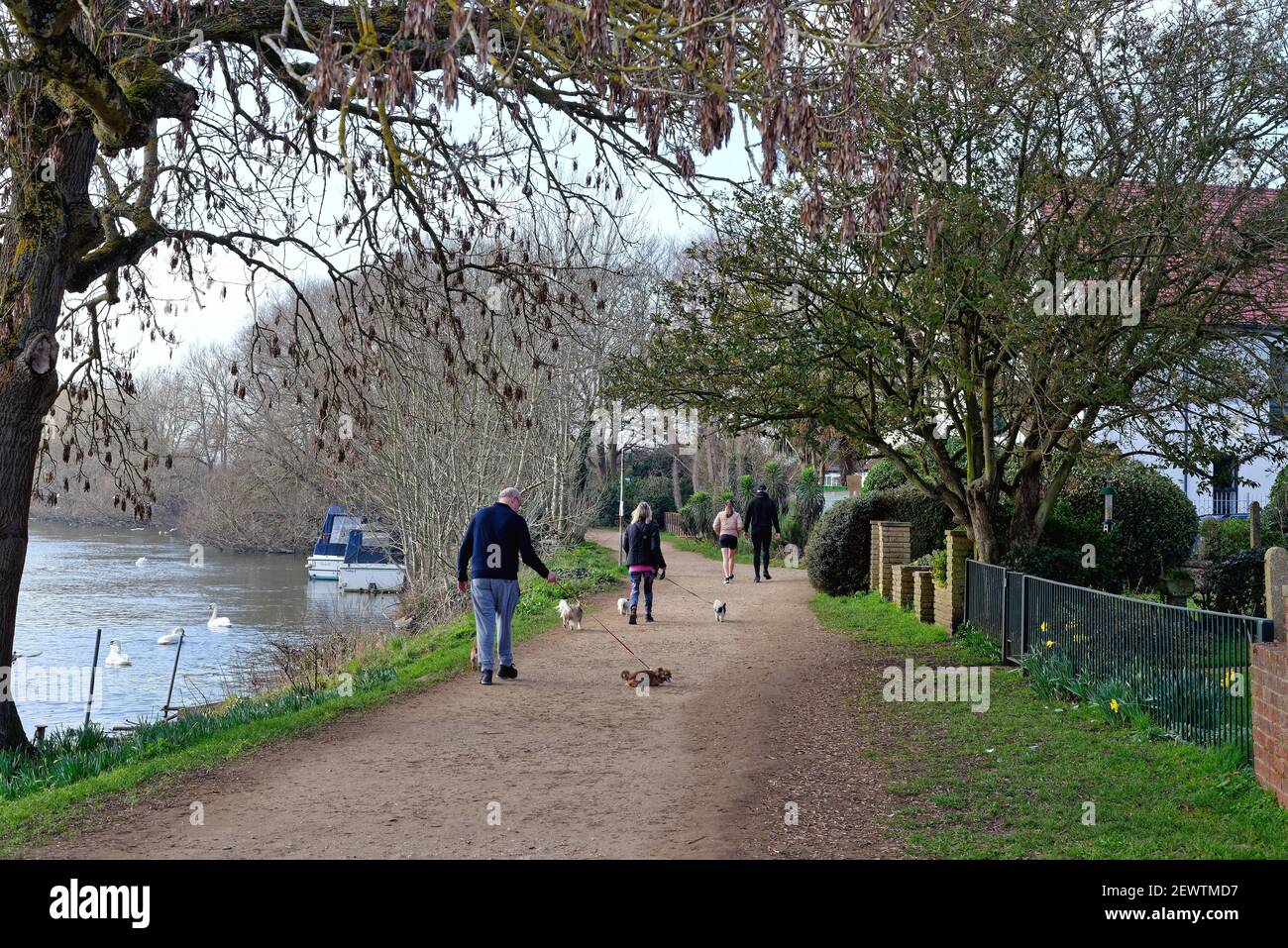 Il lungofiume di Laleham, Staines sul Tamigi in una soleggiata giornata primaverile, Surrey England UK Foto Stock