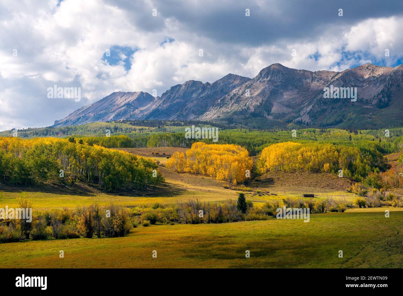 Paesaggio autunnale panoramico con alberi di Aspen in Kebler Pass vicino Crested Butte, Colorado Foto Stock