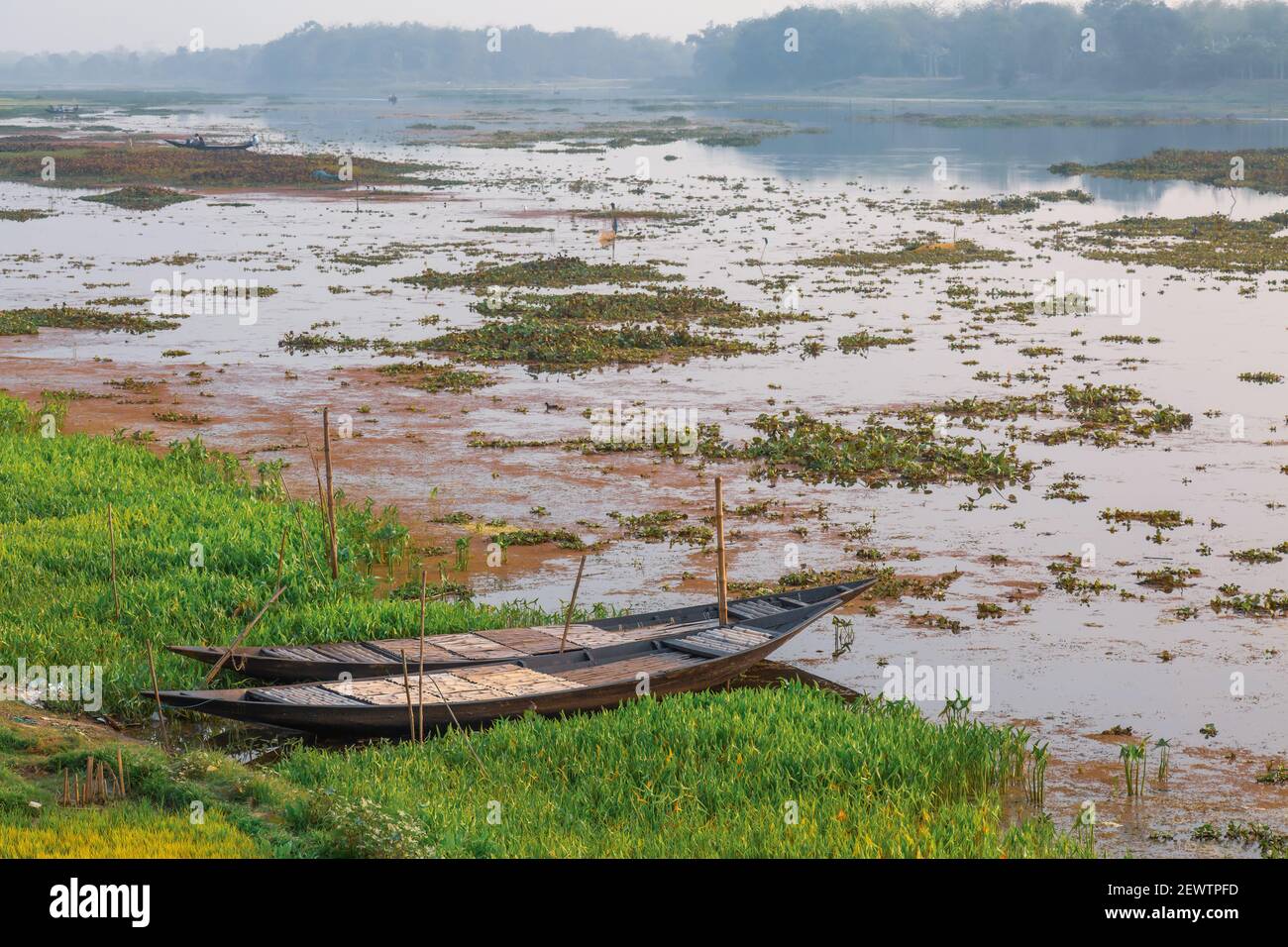 Paesaggio rurale con barche da pesca su una riva del fiume con giacinto d'acqua piante in un villaggio nel Bengala occidentale, India Foto Stock