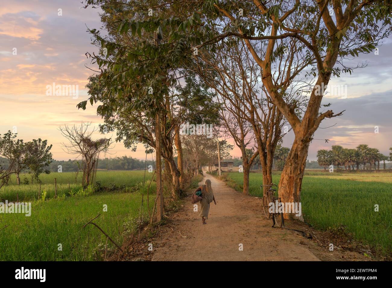 India rurale con strada non asfaltata villaggio e campi di agricoltura a. Tramonto al Bengala Occidentale India Foto Stock