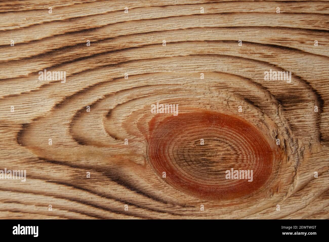 Tessitura del legno dopo cottura e lavorazione con un grosso nodo da primo  piano. Immagine di sfondo Foto stock - Alamy
