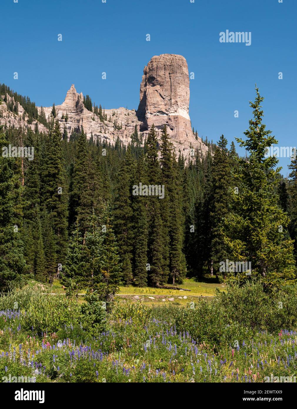 Spettacolare Chimney Rock da 11,781 piedi (3,591 metri) nel Colorado sudoccidentale. Vista dalla biforcazione occidentale della valle del fiume Cimarron. Foto Stock