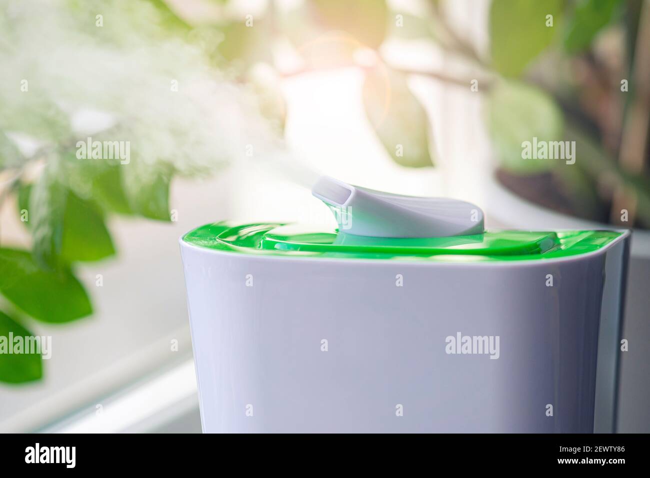 Primo piano di vapore da umidificatore, fiore verde in una stanza Foto Stock