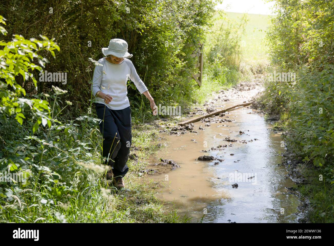 Fit Indian donna trekking su un percorso allagato o percorso nella campagna inglese, Regno Unito Foto Stock