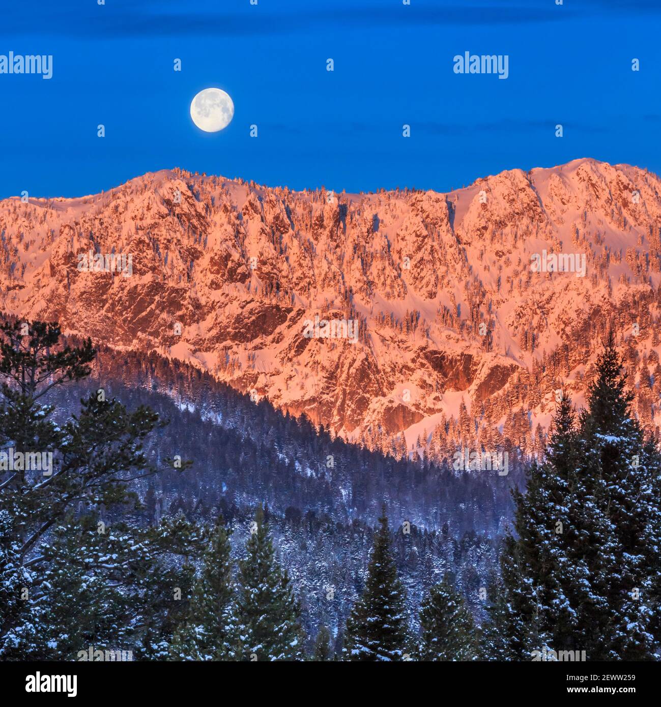 luna piena impostazione sulle montagne bridger in inverno vicino a bozeman, montana Foto Stock