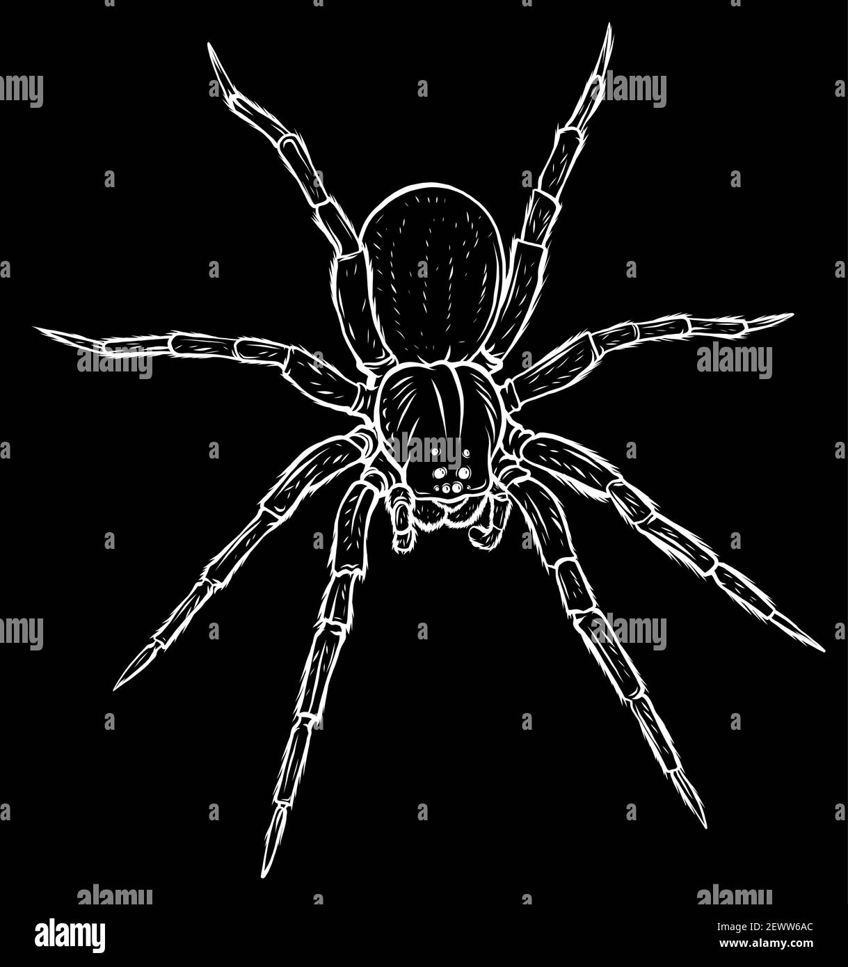 Silhouette cute ragno cartoon vettoriale illustrazione grafica art Illustrazione Vettoriale